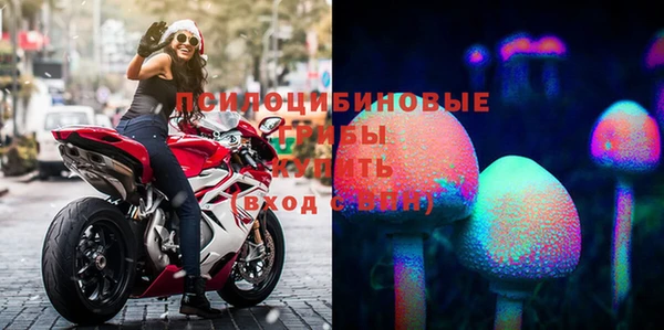 бутират Белокуриха