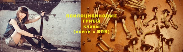 бутират Белокуриха