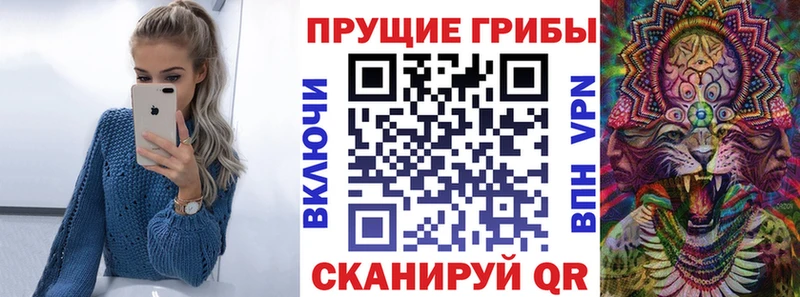 Галлюциногенные грибы мицелий Навашино