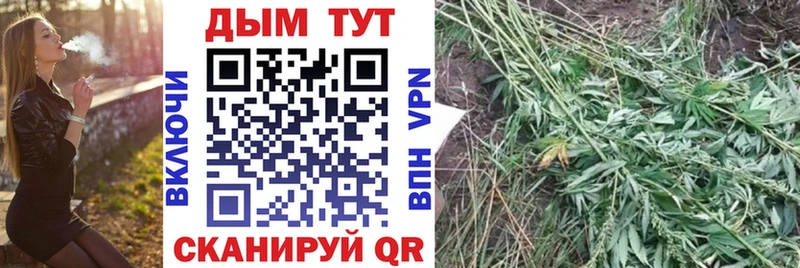 Шишки марихуана Bruce Banner  Навашино 